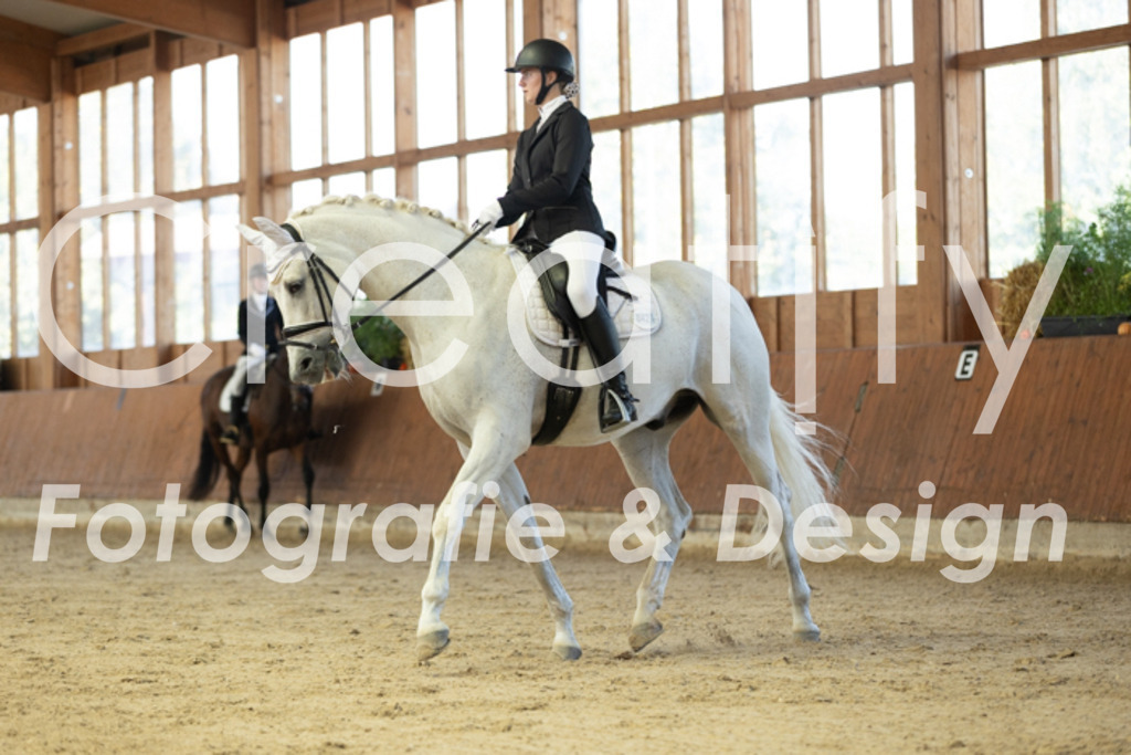 IMG_9749 | Creatify Fotografie