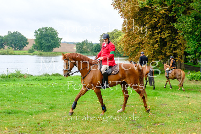 Jagd Kletkamp 26-9448_MarinaHewig | Fotografie, FotoArt, PferdesportArt, Pferdesportfotografie, Landschaftsfotografie, Reisefotografie, Reise, Pferde - Realisiert mit Pictrs.com