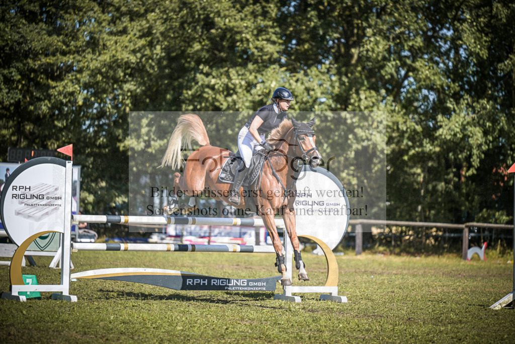 DOS_0460 | Entdecke hochwertige Reitturnierfotos von Foto Oger. Professionell, emotional und authentisch – jetzt Lieblingsmomente im Shop bestellen.Deutschlandweite Turnierfotografie. - Realisiert mit Pictrs.com