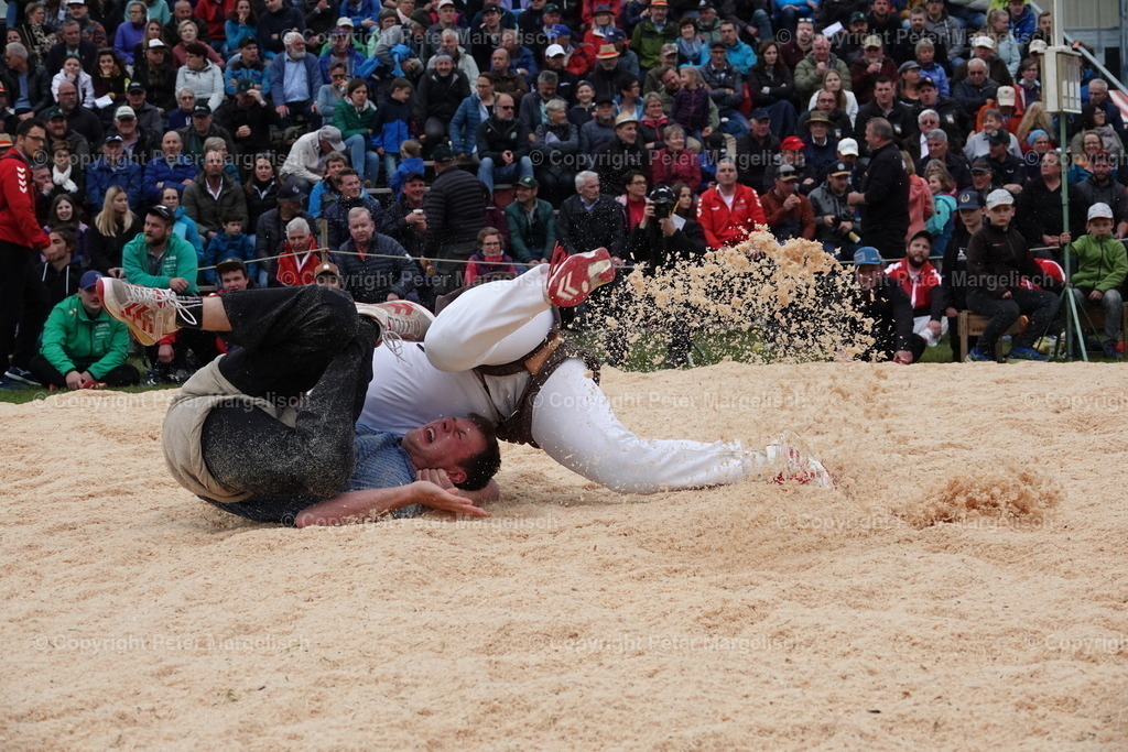 DSC03418 | Schwingen - Realisiert mit Pictrs.com