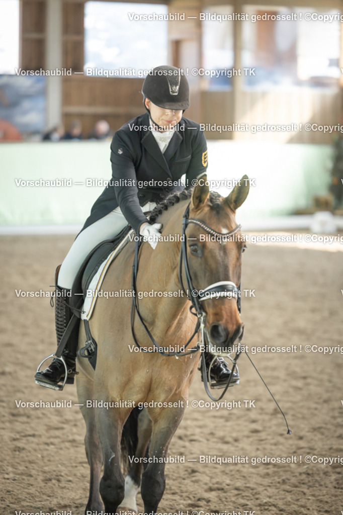 _D5A2338 | Emotionale Pferde- & People-Fotografie rund um Heidelberg, Leimen & Umgebung. Natürliche Fotos von Pferd, Mensch & Familie. Jetzt Termin sichern!