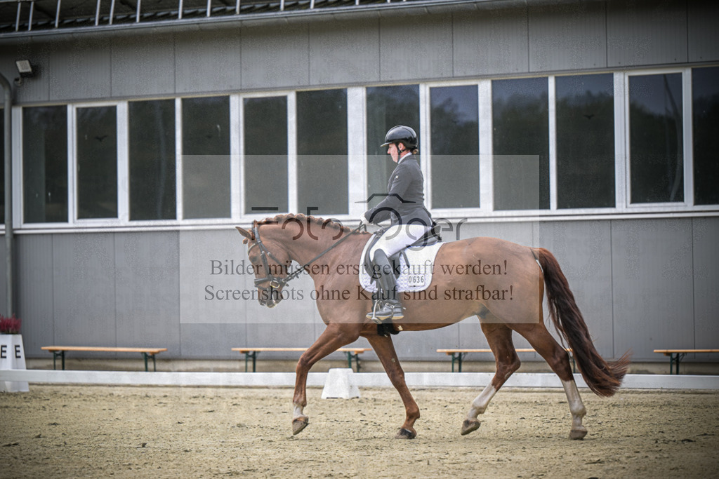 DOS_0781 | Entdecke hochwertige Reitturnierfotos von Foto Oger. Professionell, emotional und authentisch – jetzt Lieblingsmomente im Shop bestellen.Deutschlandweite Turnierfotografie. - Realisiert mit Pictrs.com