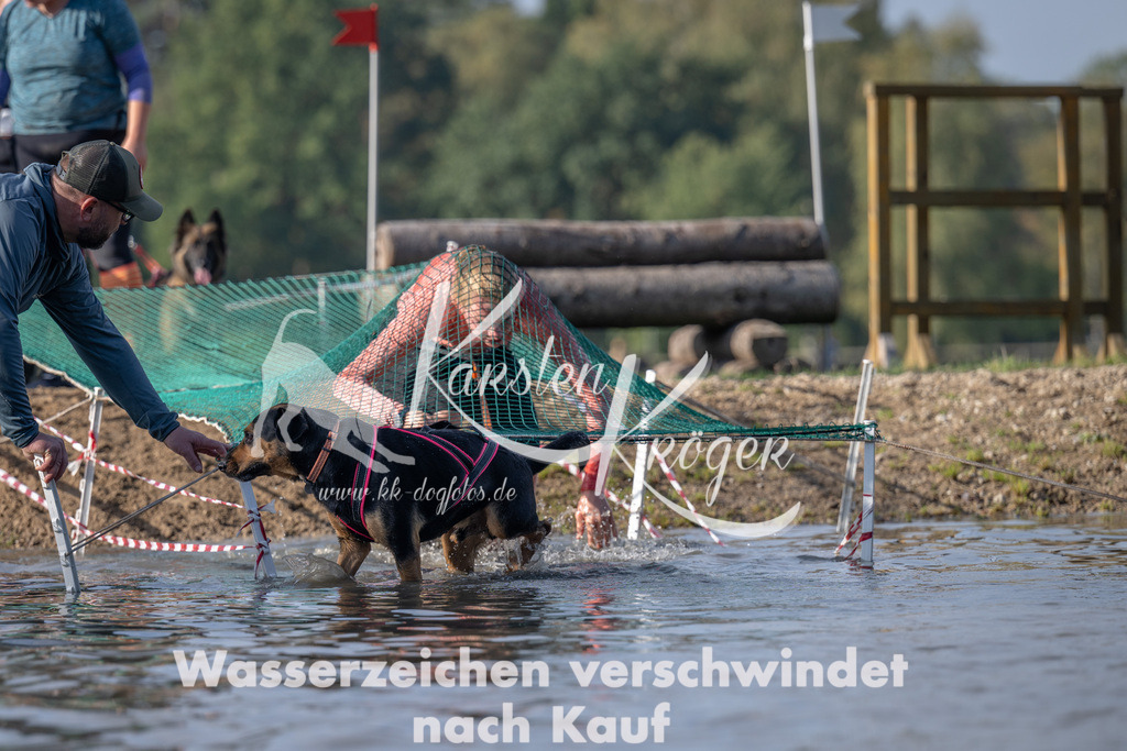 1042_ZZ94759 | kk-dogfotos