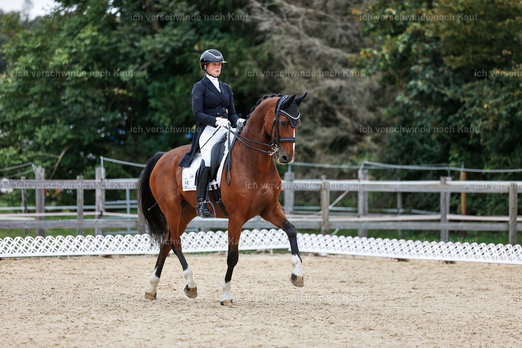 11-048-Dressur S___-StoibPH-1415 | working equitationturnier fotograf videograf stoibphotography marixx film working equitation deutschland reitsport turnierfotografie eventfotografie equestrian events