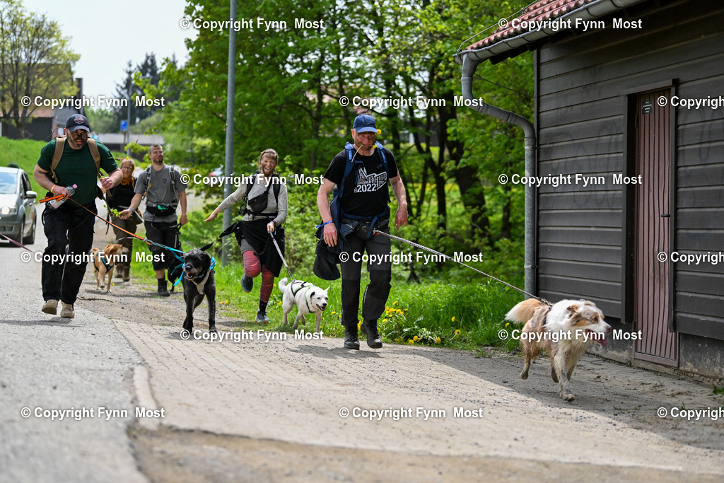 DSC_6988 | Hallo und herzlich Willkommen auf meiner Shop-Seite Fynn Most.

Ich wünsche Dir viel Spaß beim stöbern durch die Bilder, wenn Du Fragen hast oder Bilder vermisst, kannst du mir gerne eine Nachricht schreiben. - Realisiert mit Pictrs.com