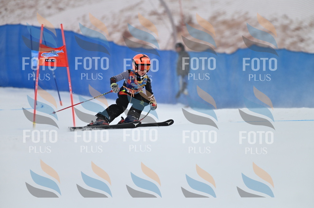 BGV_1750 | holidayphoto