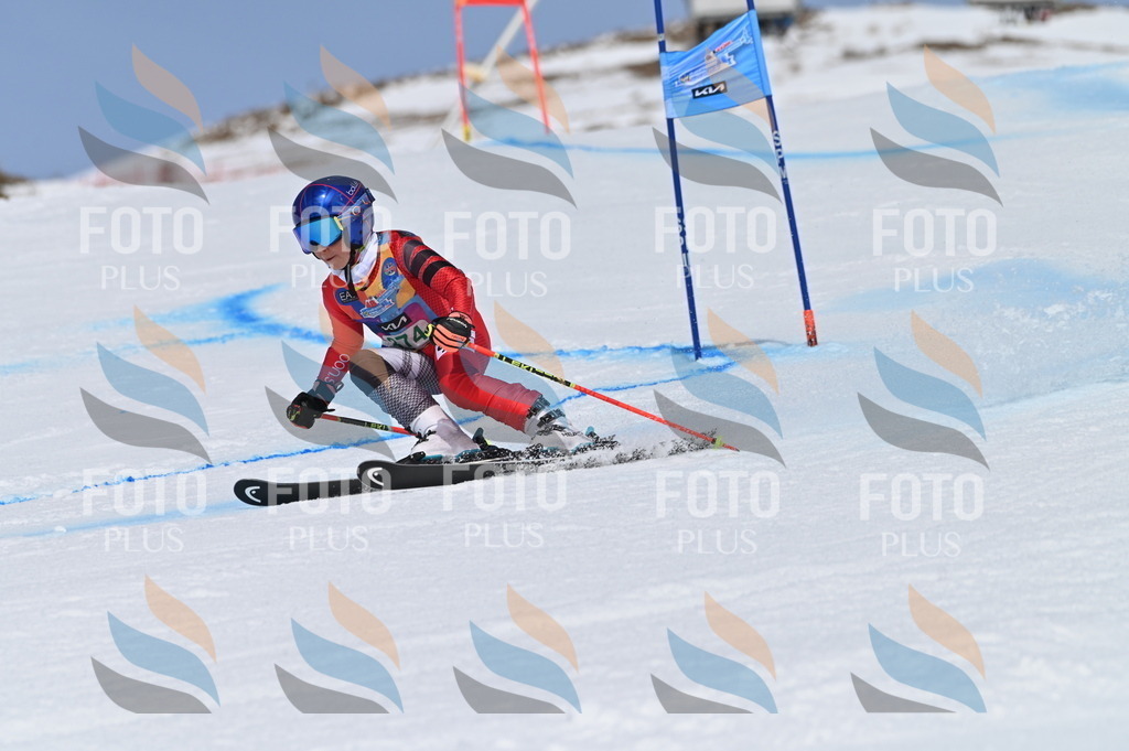 BGV_3403 | holidayphoto