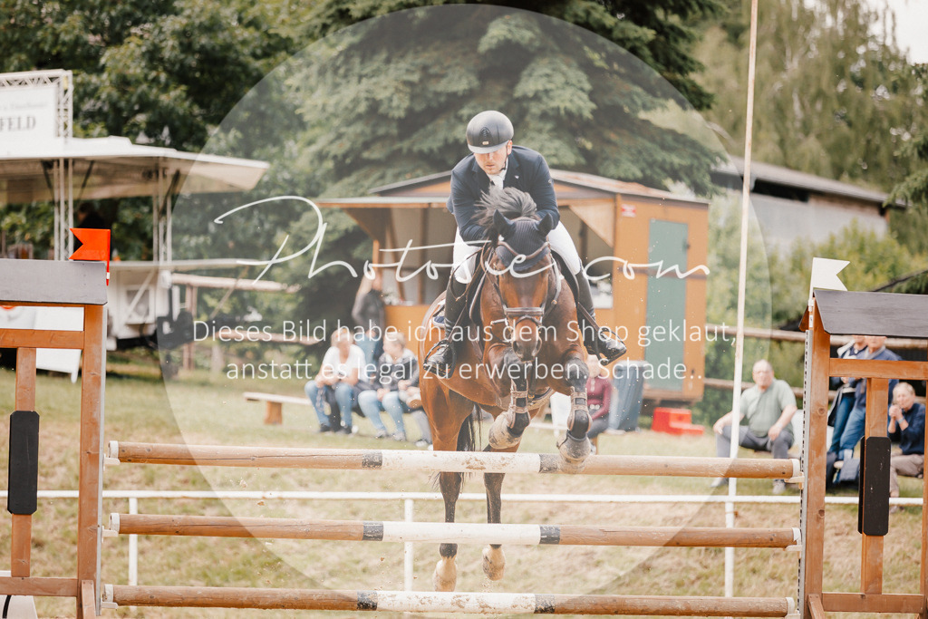 3I6A2411 | Stimmungsvolle Portraits und Reitsportfotografie im Ruhrgebiet und im Münsterland.

Pferdefotografie, Hundefotografie, Tierfotografie, Reportagen, Portraits von Tier und Mensch, Turnierfotografie in Bochum, Recklinghausen, Marl, Haltern am See, Dülmen.. - Realisiert mit Pictrs.com