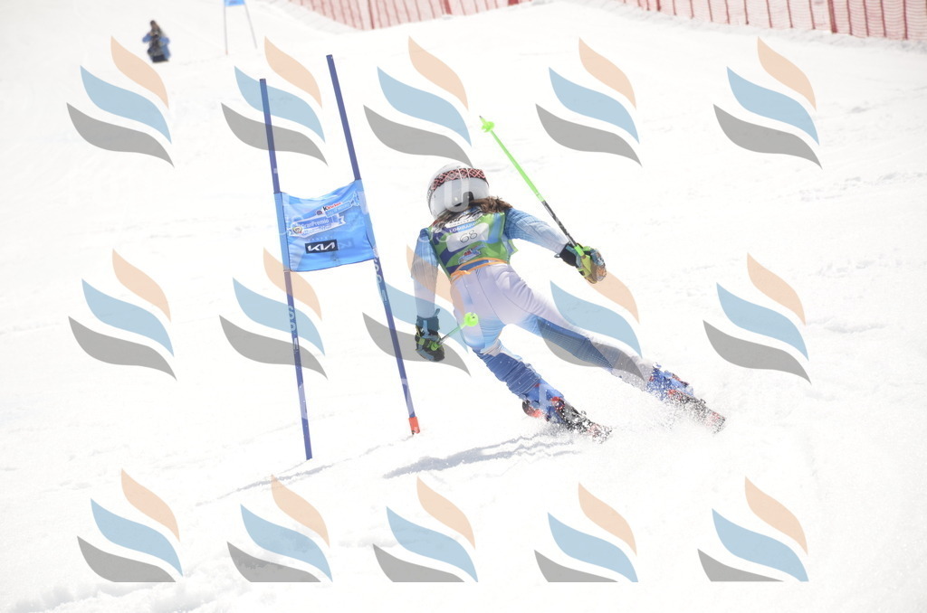 _ELE9098 | holidayphoto