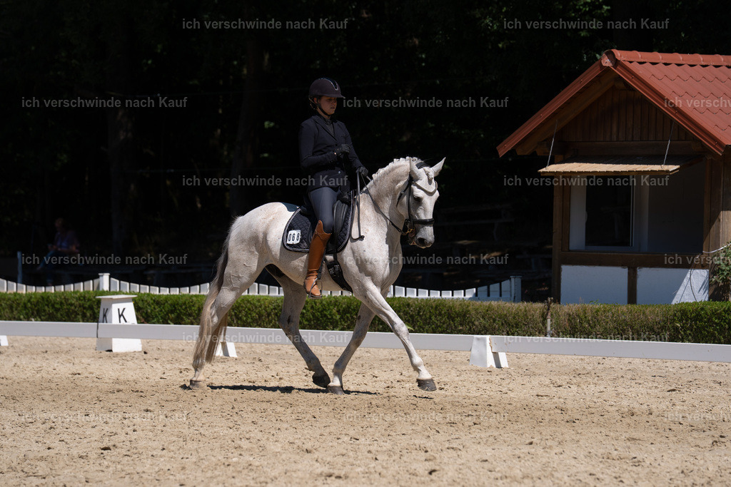 SIN03263 | working equitationturnier fotograf videograf stoibphotography marixx film working equitation deutschland reitsport turnierfotografie eventfotografie equestrian events