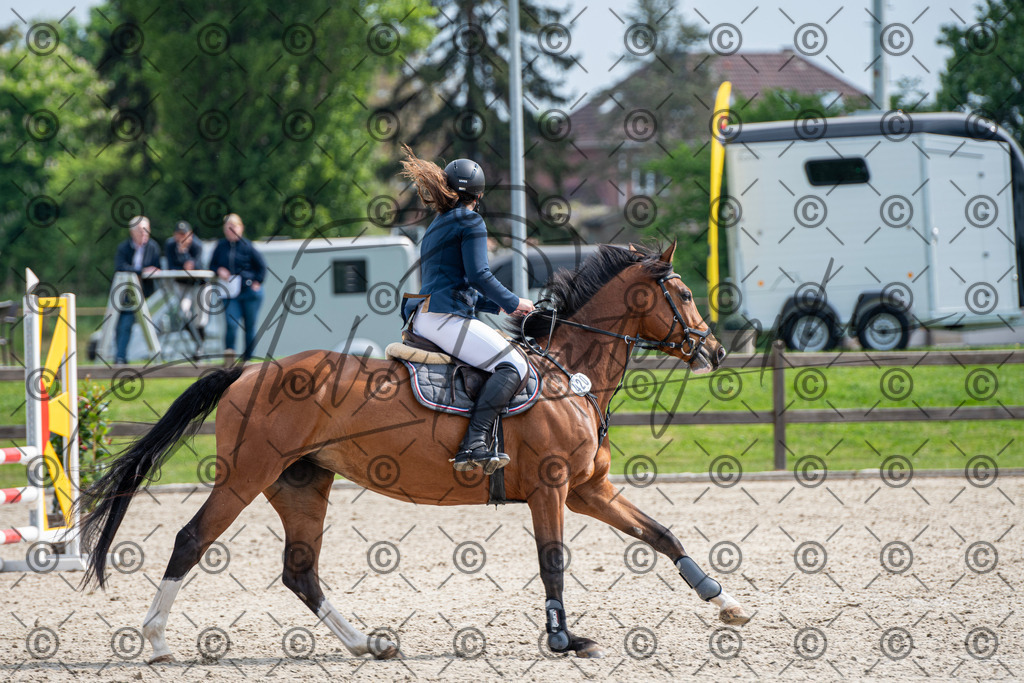 KPT_2568 | andre_photographic