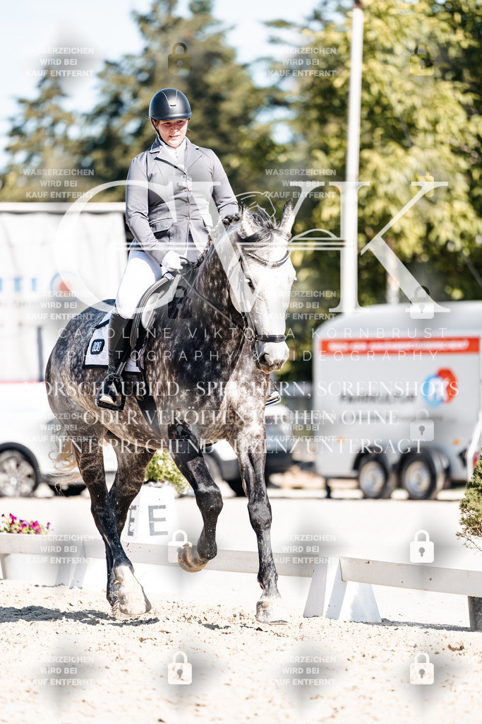CK908347 | Turnierfotografie Pferdefotografie Trier Rheinland-Pfalz Pferdesport Reitsport Tierfotografie Sportfotografie Pferdevideo Pferdevideografie Equestrianvideography equestrianphotography  - Realisiert mit Pictrs.com