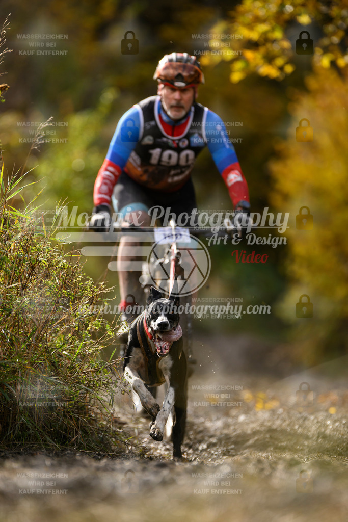 MompixPhotography_ICF_WC_2024_SA_Bike_-300 | PayLife