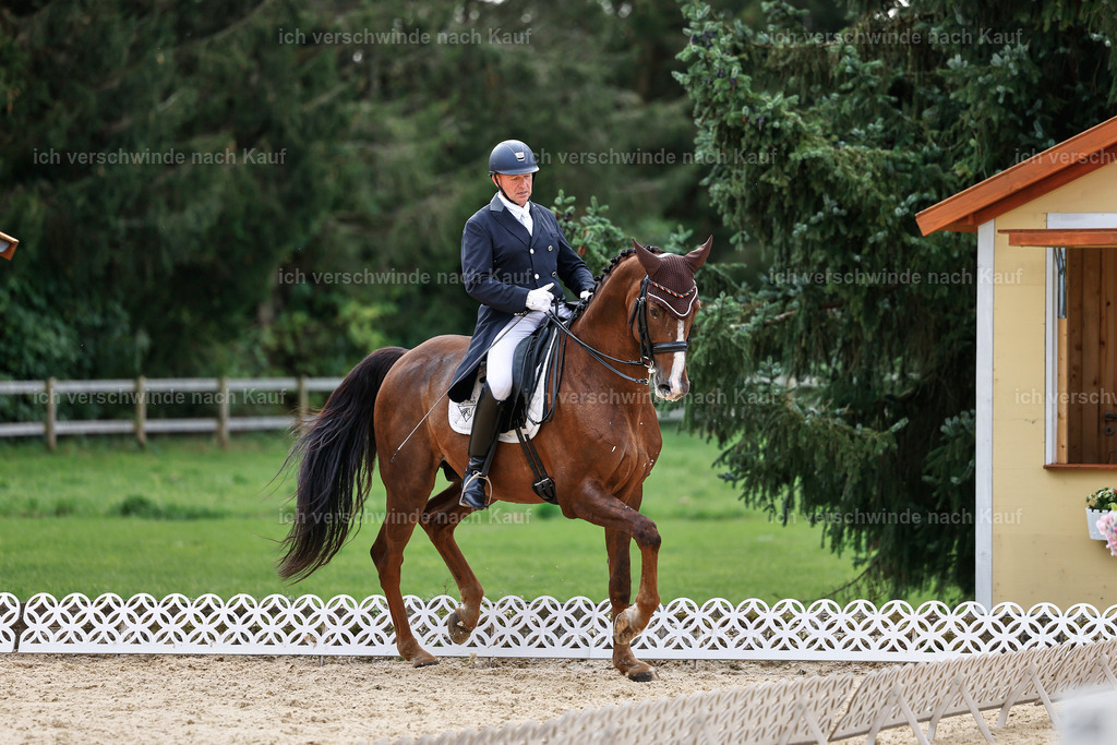 11-092-Dressur S___-StoibPH-1306 | working equitationturnier fotograf videograf stoibphotography marixx film working equitation deutschland reitsport turnierfotografie eventfotografie equestrian events