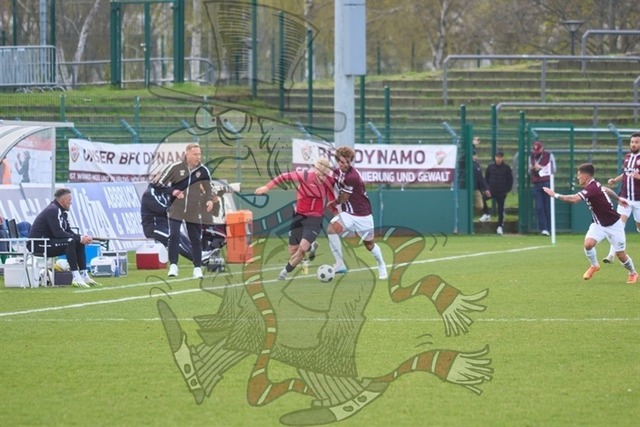 BFC Dynamo vs. VSG Altglienicke 028 | mythos-online-redaktion