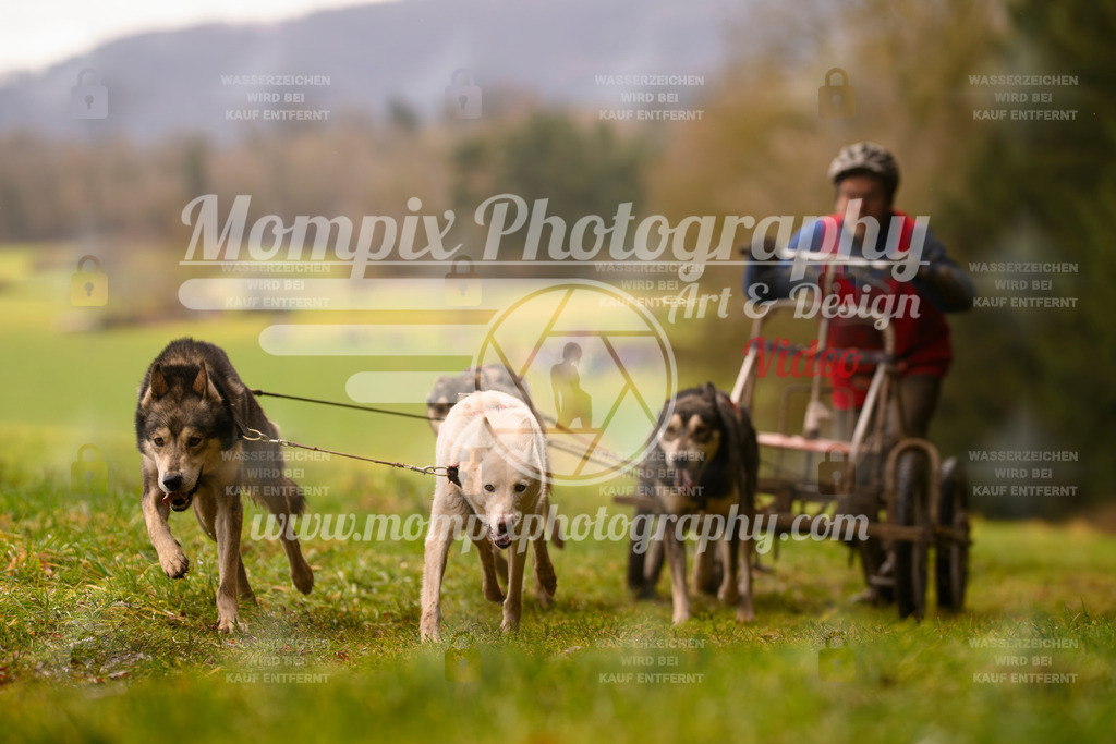 MompixPhotography_2SSTSSBW_2025_SO_Kart-28 | PayLife