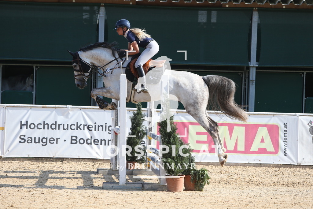 DL2Q0158 | Willkommen bei Brunnmayr - Design & Fotografie – Ihrem Spezialisten für Reitturniere und Pferdeveranstaltungen in Oberösterreich, Salzburg und Bayern! Seit über 17 Jahren sind wir leidenschaftlich dabei.