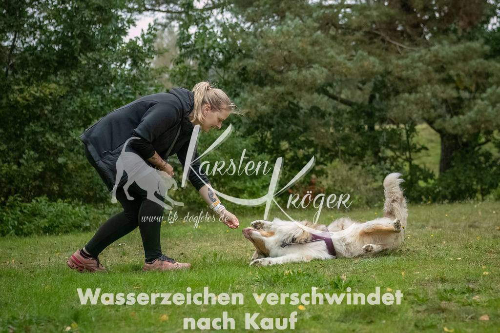 0925_ZZ90369-Bearbeitet | kk-dogfotos