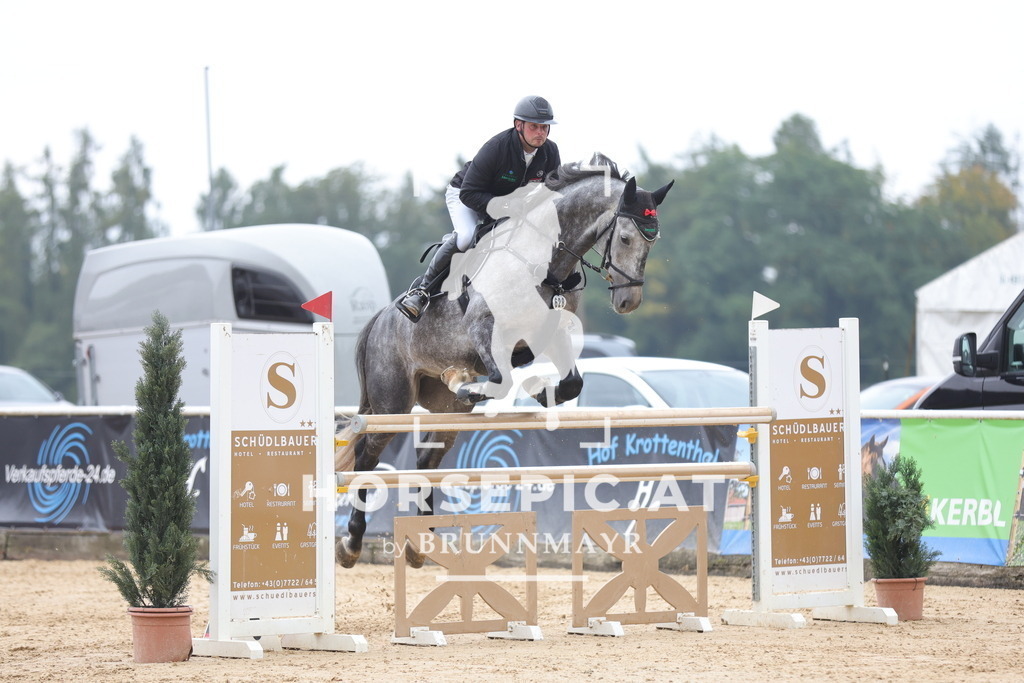 0P6A7436 | Willkommen bei Brunnmayr - Design & Fotografie – Ihrem Spezialisten für Reitturniere und Pferdeveranstaltungen in Oberösterreich, Salzburg und Bayern! Seit über 17 Jahren sind wir leidenschaftlich dabei.