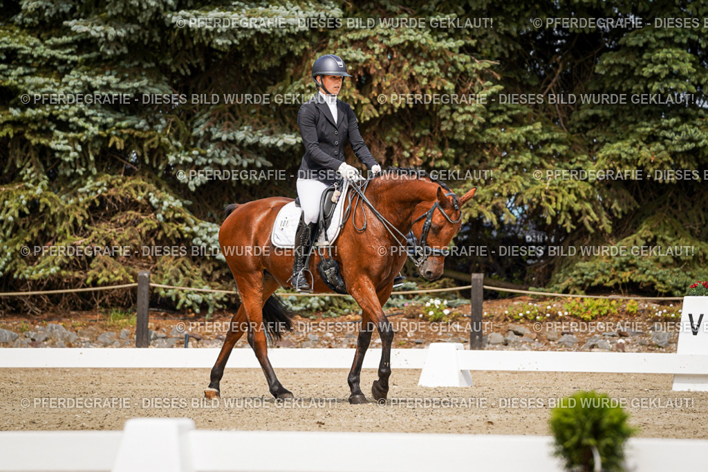 DSC05037 | Pferdegrafie