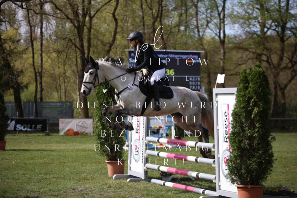 IMGT5454 | pl-fotografie