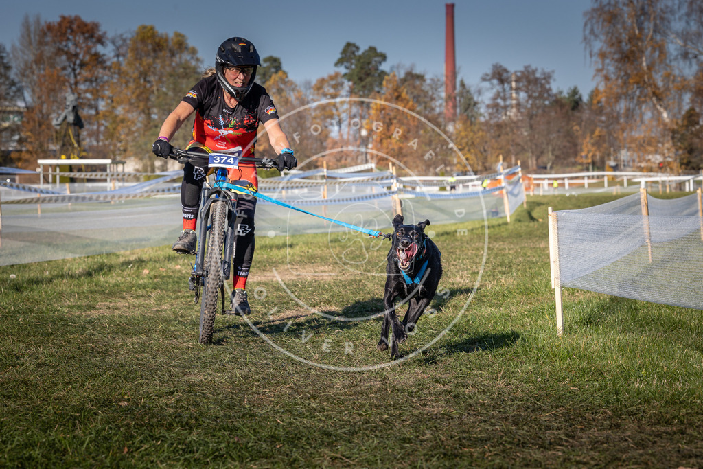 CaniXpix_0L8A6516 | Hundefotografie, Tierfotograf, Pfotenfotografie, Fotoshooting Hund, Hunde Portrait, Hundesport, Hundeportraits, Heideshooting, Hunde, Sportfotograf, Hundefotograf, Turnierhundsport, THS,  - Realisiert mit Pictrs.com