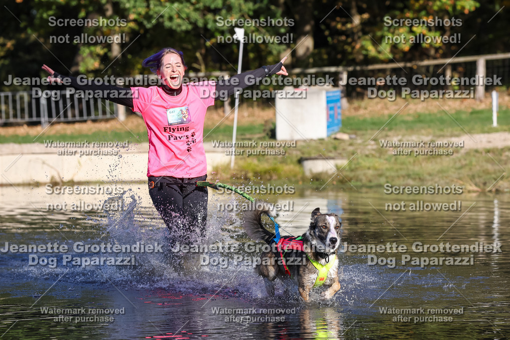 Dog Paparazzi - Strongdog 10-25-8813 | Dog Paparazzi Jeanette Grottendiek Fotografie & Videografie - Realisiert mit Pictrs.com