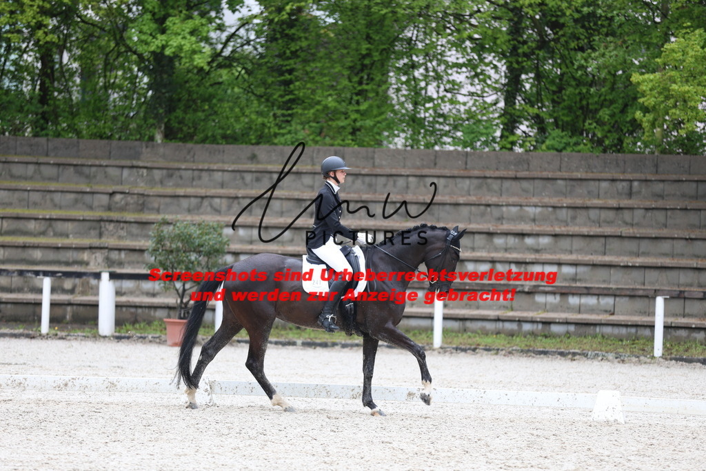 A40A9230 | lmwpictures - Realisiert mit Pictrs.com