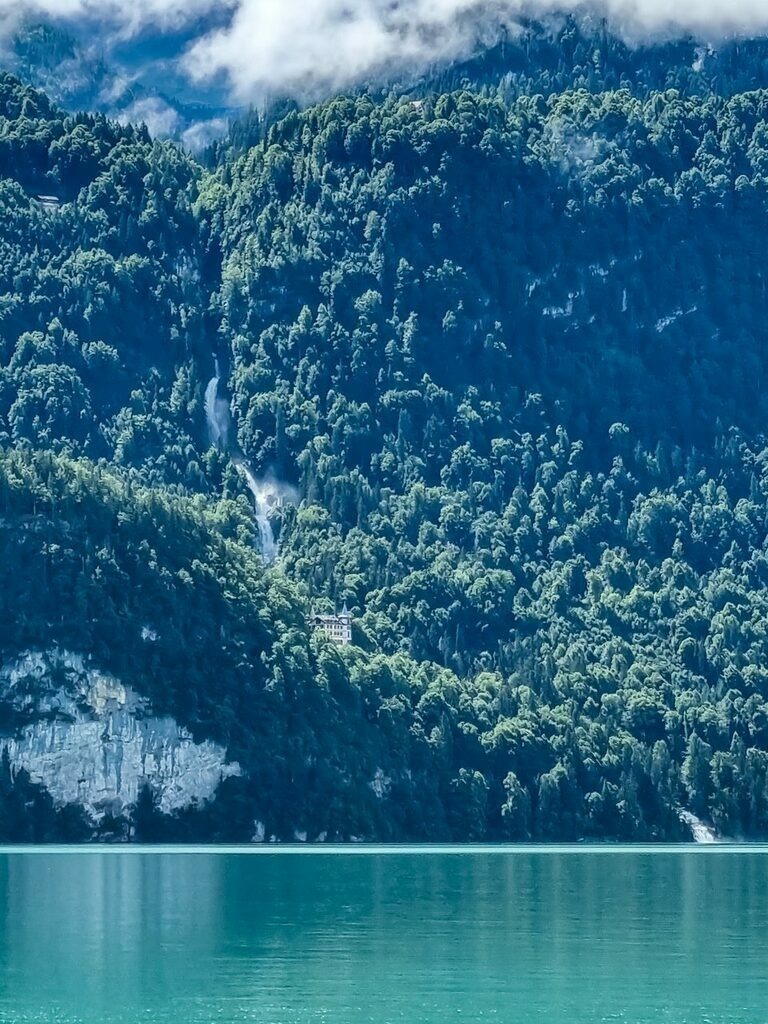 PSX_20220104_081814 | mtkfoto_ - Realisiert mit Pictrs.com