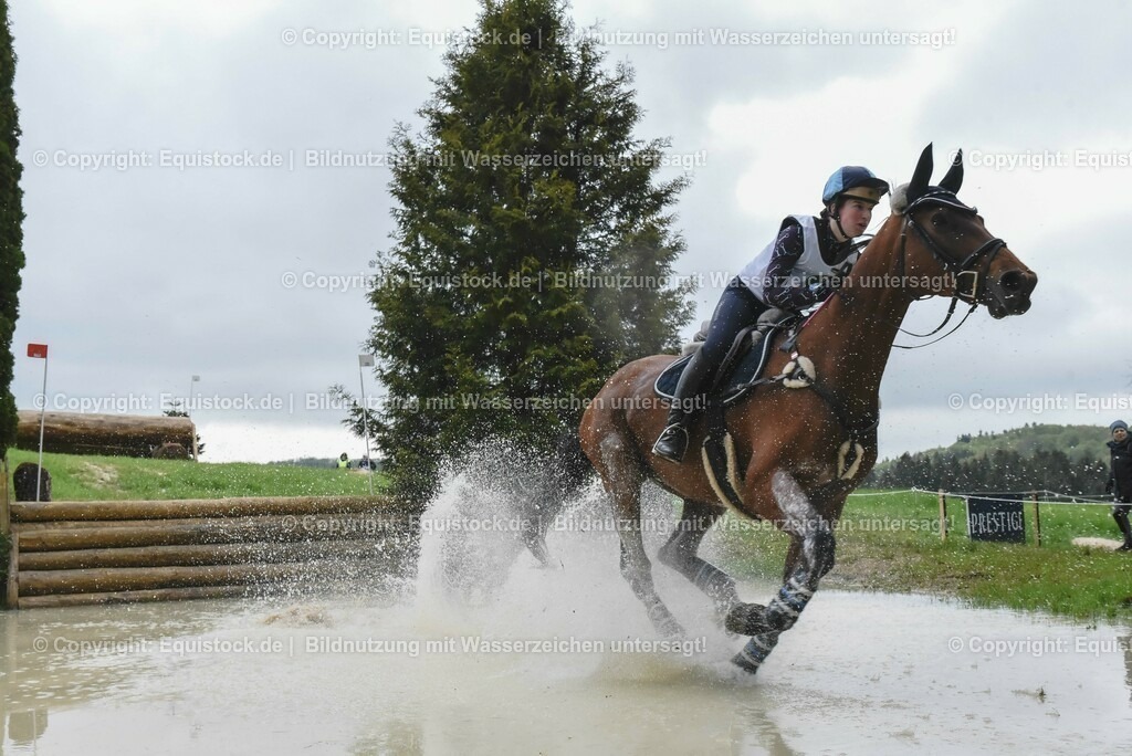 20230513_CCI2_Section2_Gelände_0409 | equistock