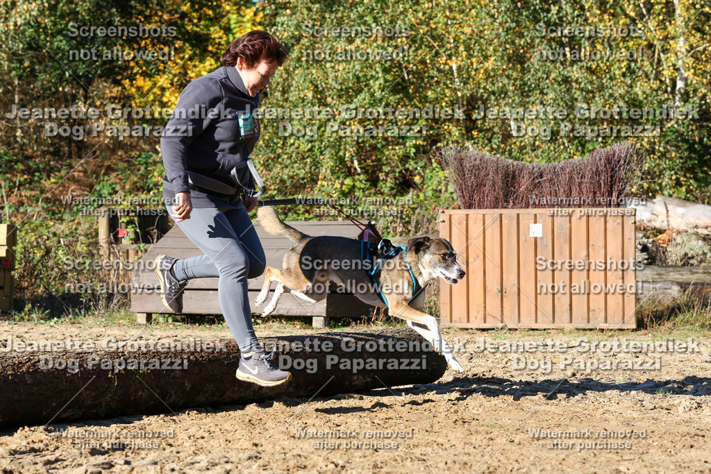 Dog Paparazzi - Strongdog 10-25-1854 | Dog Paparazzi Jeanette Grottendiek Fotografie & Videografie - Realisiert mit Pictrs.com