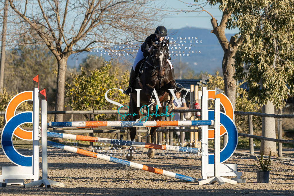 IMG_2332 | s-jay-photography - Realisiert mit Pictrs.com