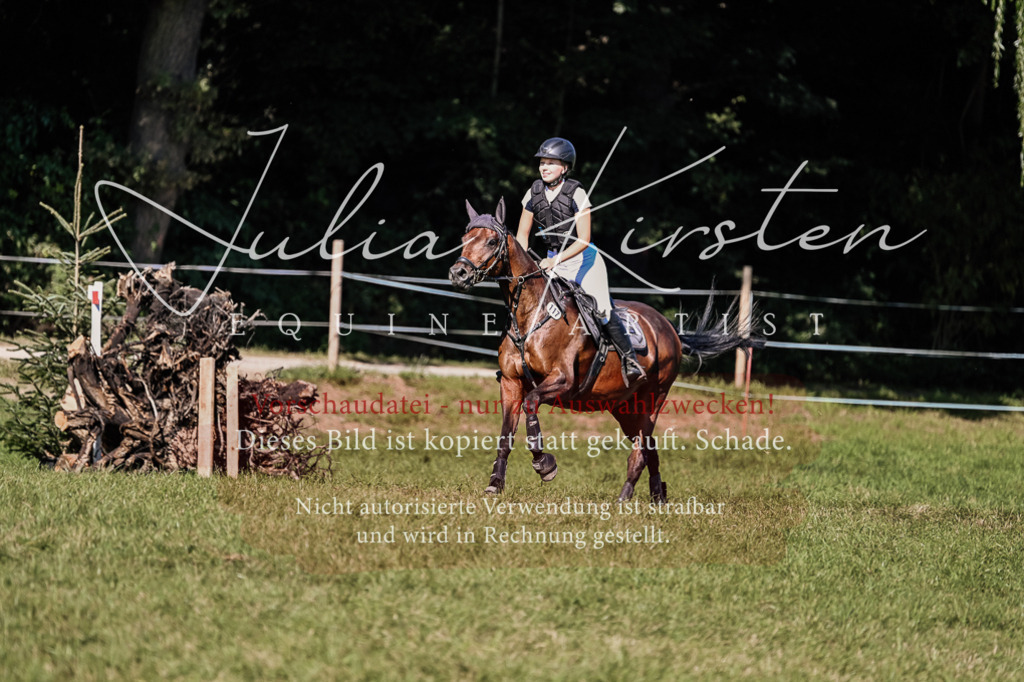 DSC_3292 | Pferde- und Turnierfotografie in Westsachsen. Pferdeportraits, Auftragszeichnungen und intuitive Kunst.