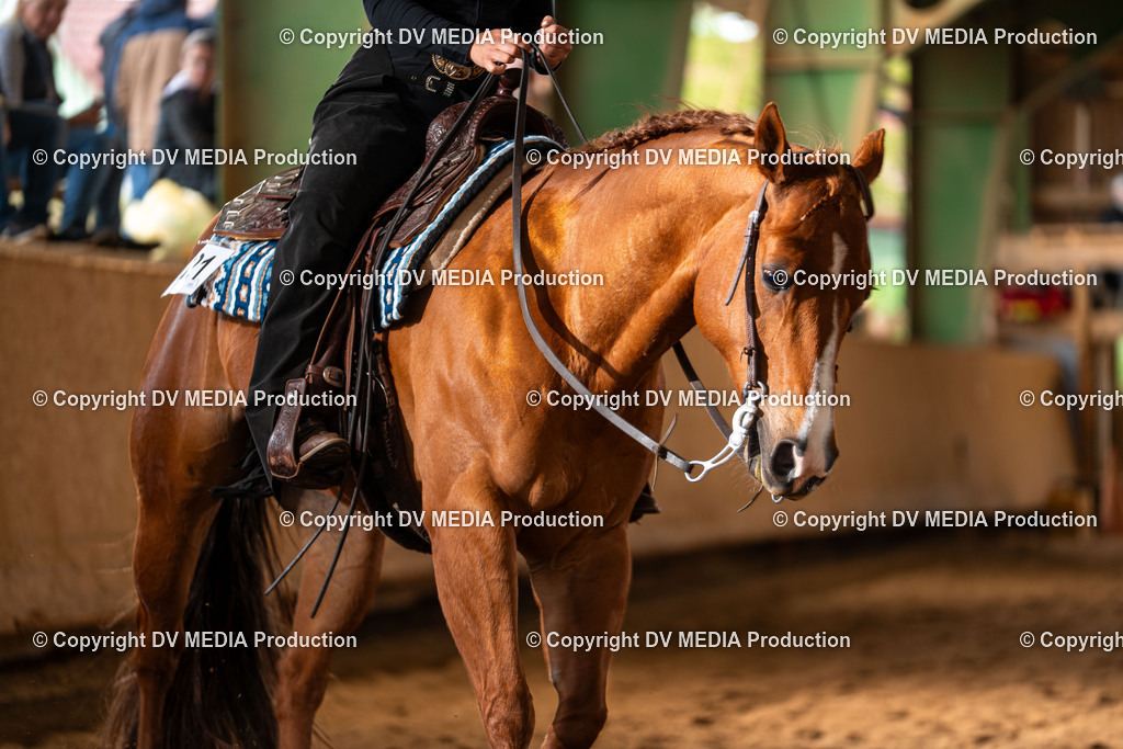 Balingen Tag 3-675 | dv-media-shop - Realisiert mit Pictrs.com