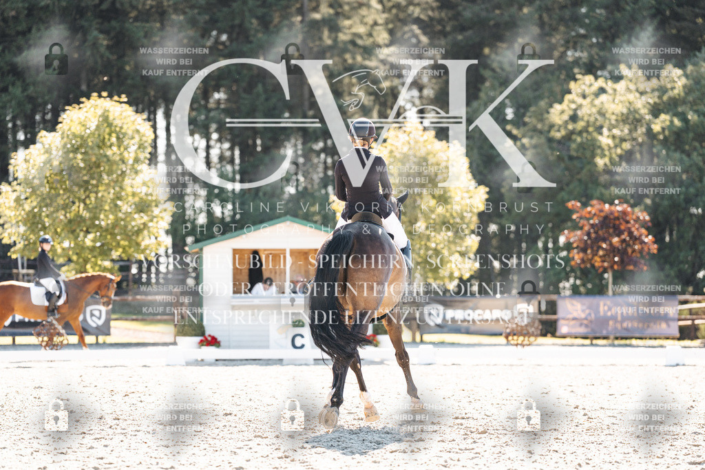 CK905903 | Turnierfotografie Pferdefotografie Trier Rheinland-Pfalz Pferdesport Reitsport Tierfotografie Sportfotografie Pferdevideo Pferdevideografie Equestrianvideography equestrianphotography  - Realisiert mit Pictrs.com