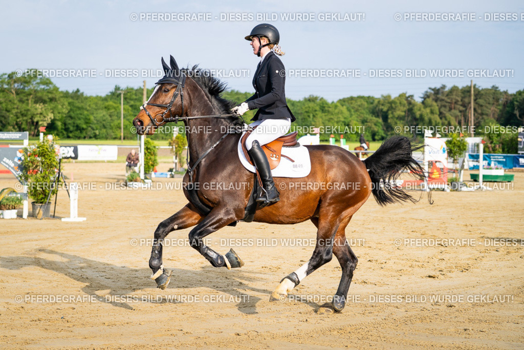 DSC02403 | Pferdegrafie