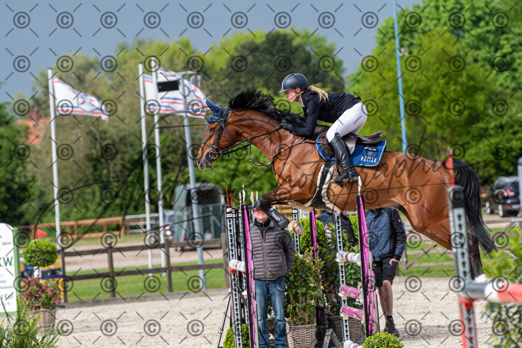 KPT_0200 | andre_photographic