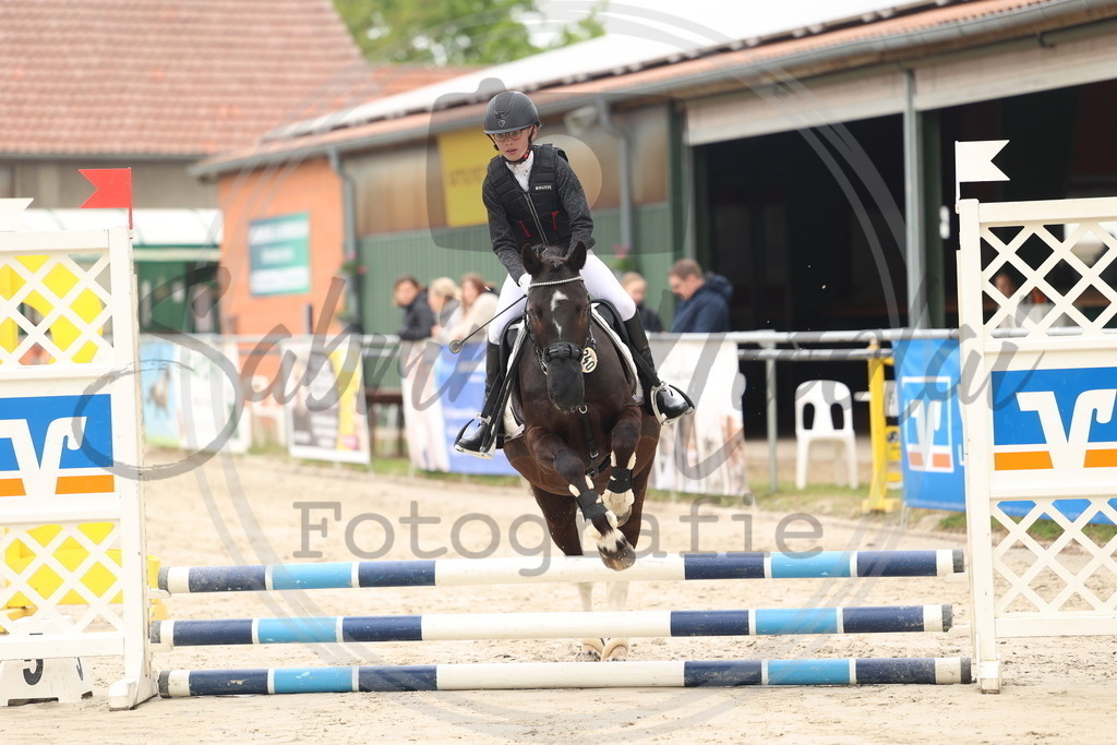 994A8383 | sabrinanicolaifotografie - Realisiert mit Pictrs.com