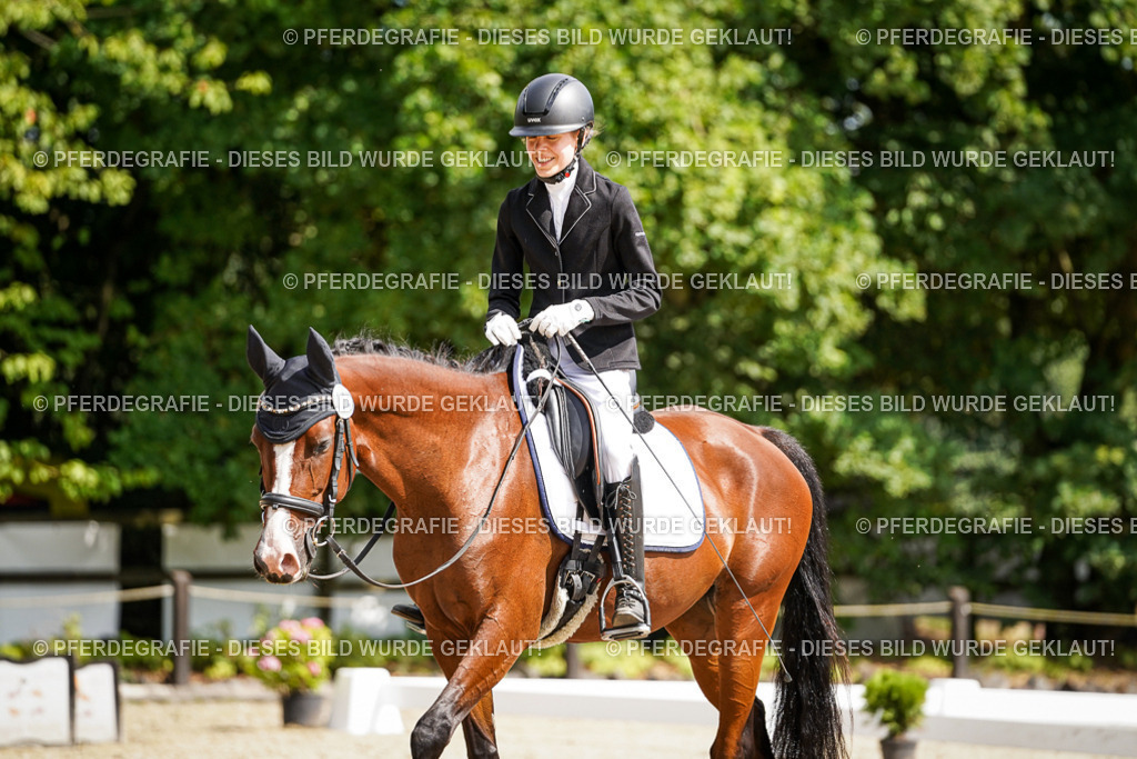 DSC08902 | Pferdegrafie