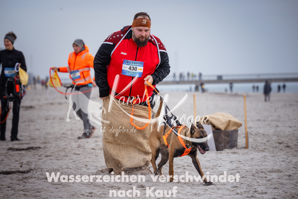 1200_ZZ91655 | kk-dogfotos