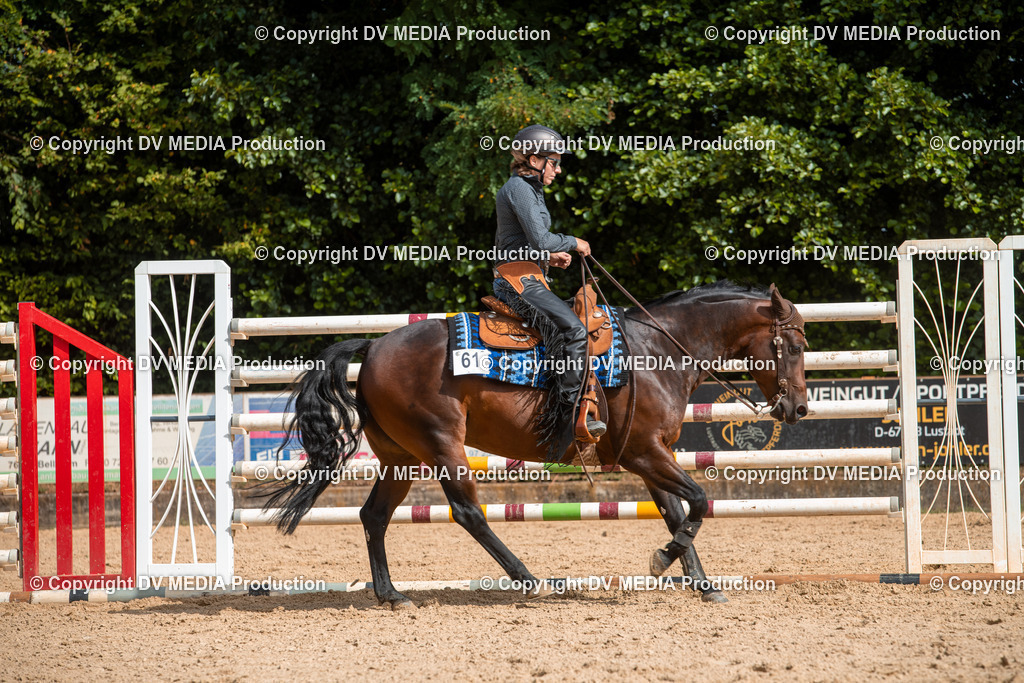 EWP_5879 | dv-media-shop - Realisiert mit Pictrs.com