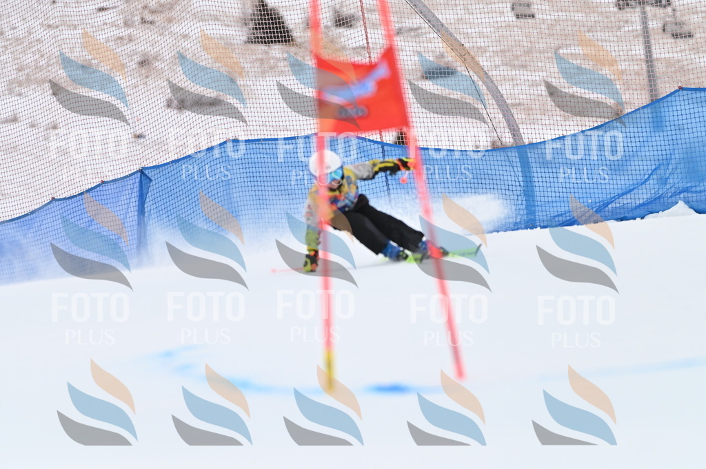 BGV_3337 | holidayphoto