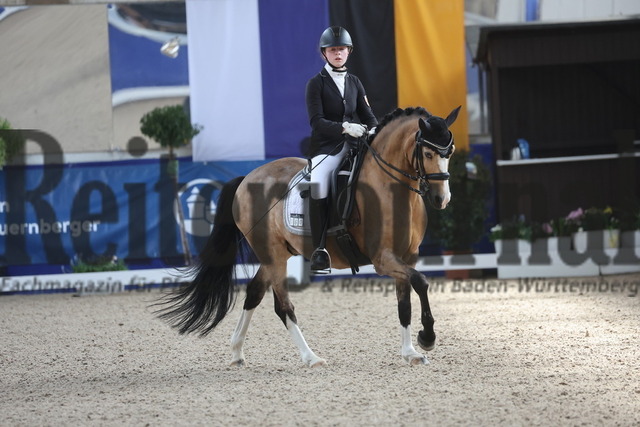 Pforzheim_2024_Prfg.Nr.12_Dressurreiterprfg.Kl.M_Nürnberger-Burgpokal_Cecile Mutz_Capri au Lait (23) | Alle Fotos der Reiterjournal Fotografin Doris Matthaes im Reiterjournal Online-Fotoshop. - Realisiert mit Pictrs.com