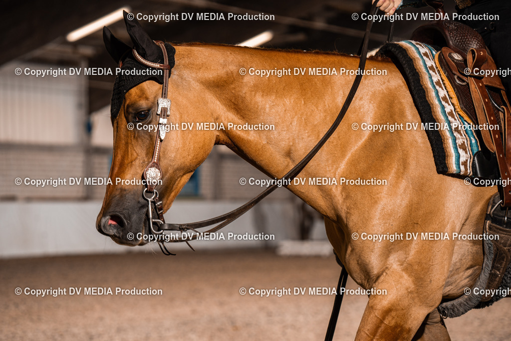 ZH300026 | dv-media-shop - Realisiert mit Pictrs.com