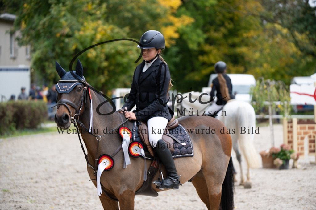 A7V09836 | Pferdefotograf