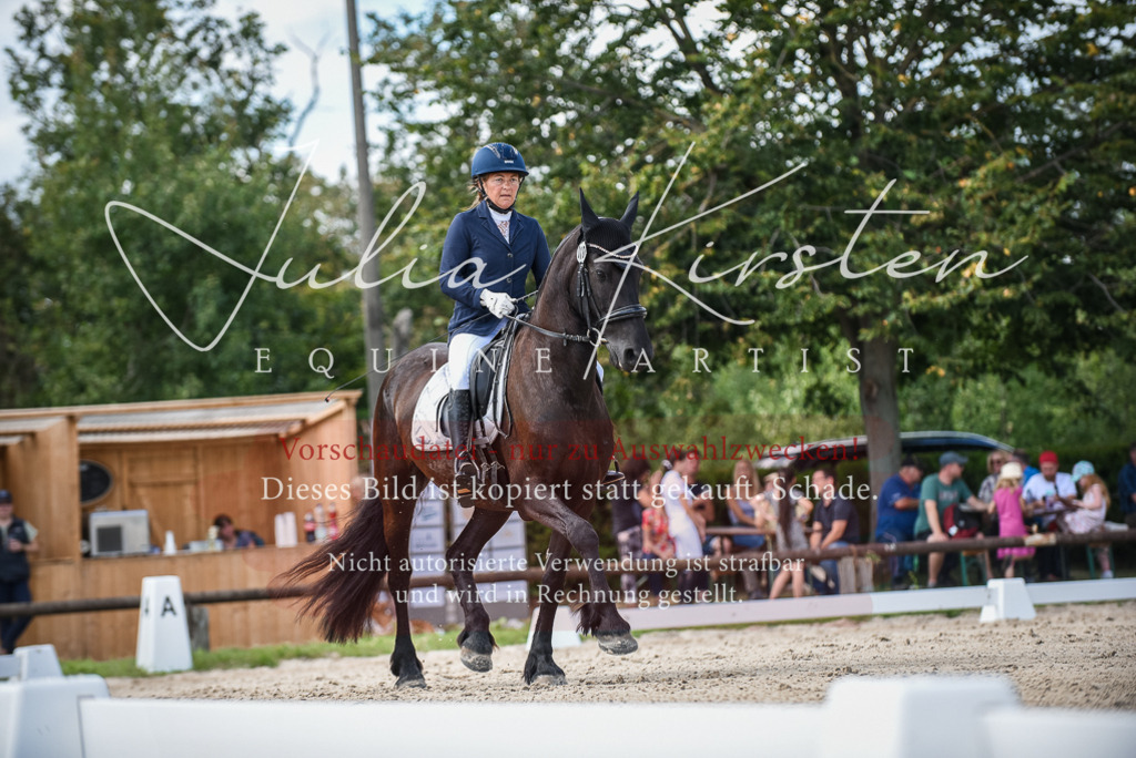 DSC_9149 | Pferde- und Turnierfotografie in Westsachsen. Pferdeportraits, Auftragszeichnungen und intuitive Kunst.