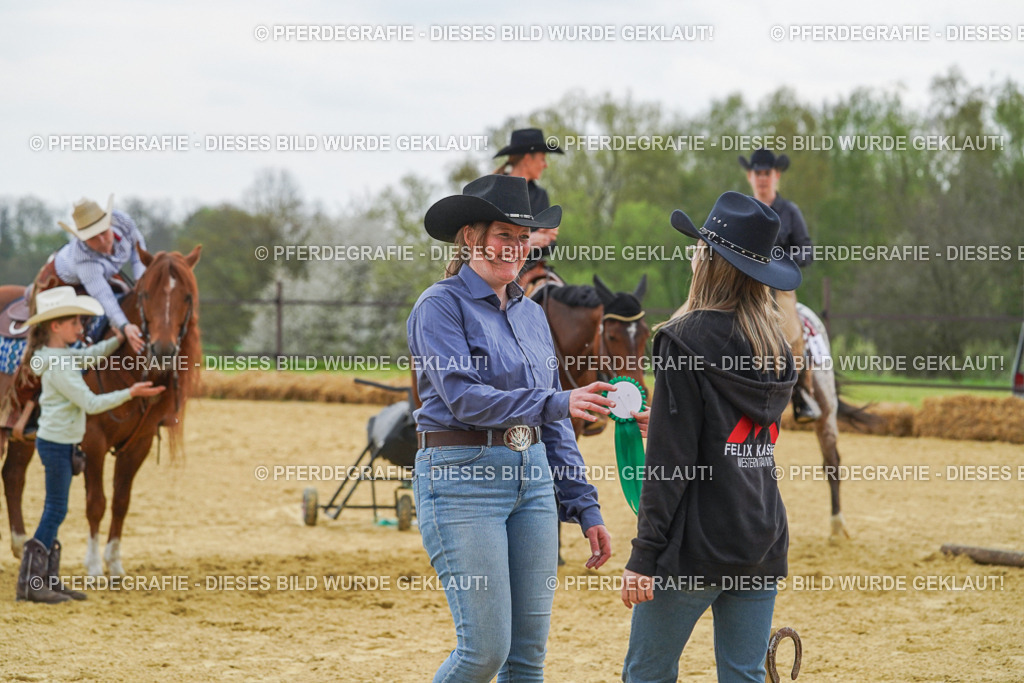 DSC07868 | Pferdegrafie