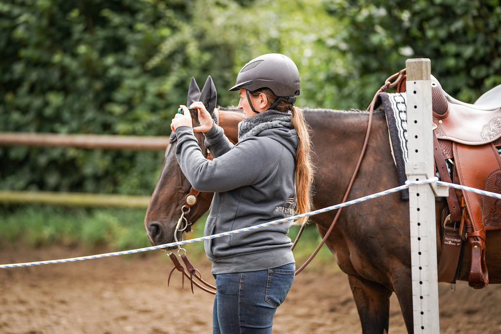 DSC04172 | Pferdegrafie