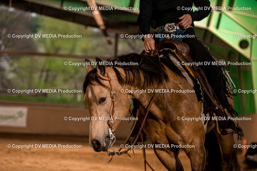 BA301313 | dv-media-shop - Realisiert mit Pictrs.com