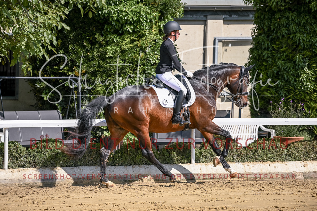 Schugtsche-Aluta25-52.Dressurprf.M2Kand-429 | Schugtsche Fotografie - Realisiert mit Pictrs.com